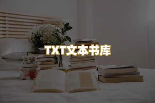 TXT文本书库